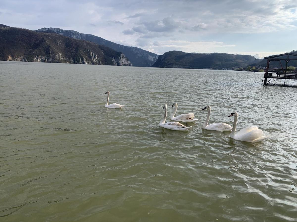 Casa Ana Serena Ieşelniţa Bagian luar foto
